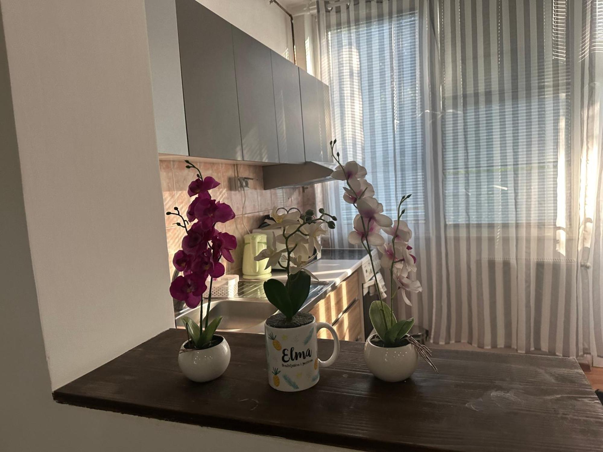 Elma Appartement